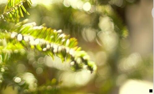 二什么腻子粉好