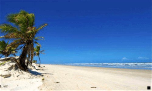 二十大断片酒排名