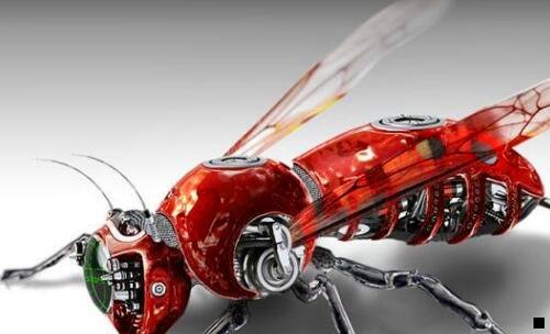 三乾隆官窑粉青釉瓷器图片