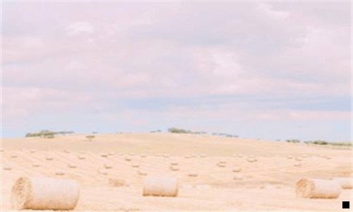 二象王洗衣店价目表