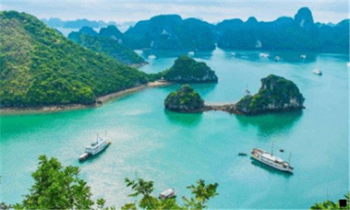 一社交电商粉象生活是什么