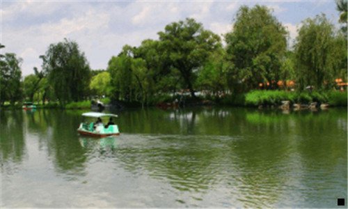 一康象林芝孢子粉