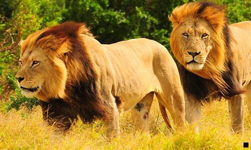 一粉象生活挣钱模式