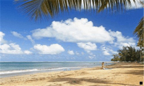 二粉象生活赚钱是真的假的