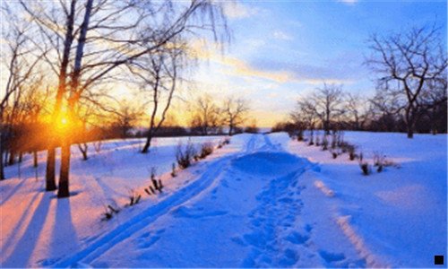 三蜜源与粉象生活的区别