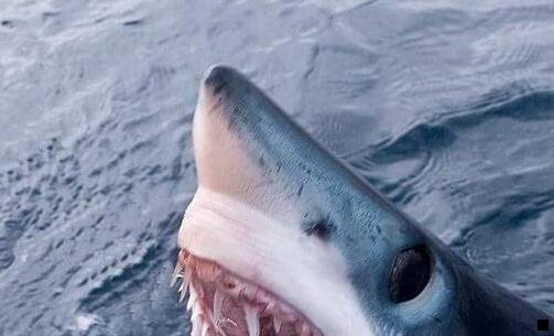 一淘千城和粉象生活