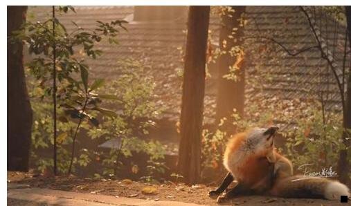 二粉象生活几人砍价能成功