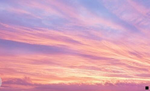 二粉象啤酒哪个口味好喝