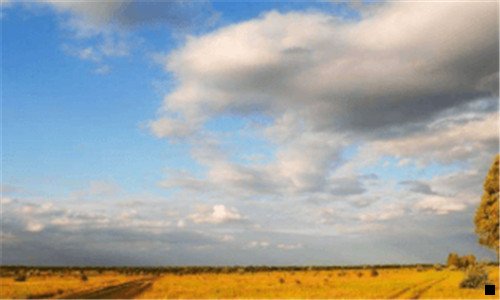 三粉象生活怎么取消授权淘宝