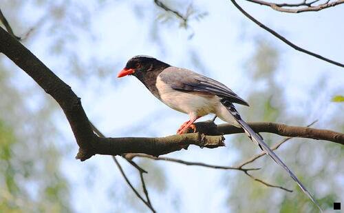 三粉象生活到底靠谱吗