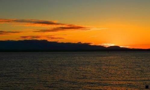 一粉象普通粉丝购物有佣金么