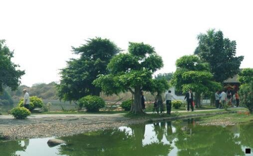 三粉象生活怎么设置地址