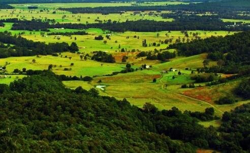 二粉象生活升级VIP必须交钱