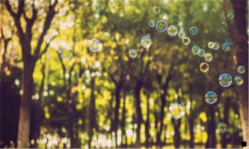 一粉象生活新手怎么做