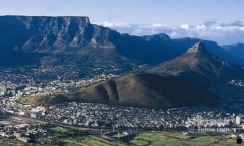 三小粉象啤酒少女杀手