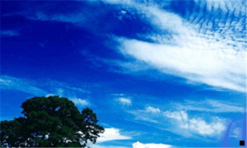 一粉象啤酒度数