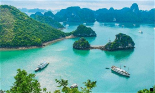 一粉象聊天背景图