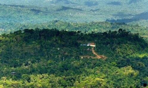 二粉象生活怎么最快的引流