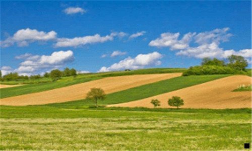 一粉象生活副业