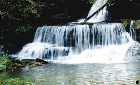 三用粉象买东西别人会知道吗