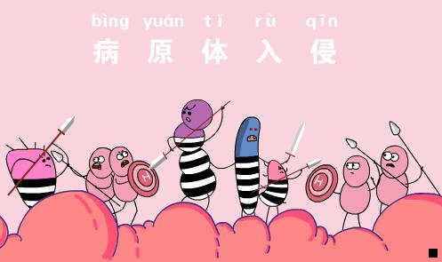 一红人妆粉象生活