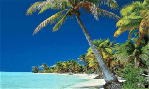 一粉象生活线下峰会