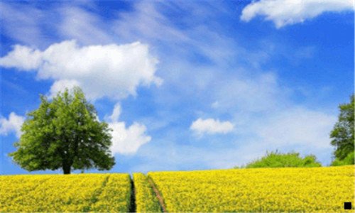 二象快手这样的平台还有哪些