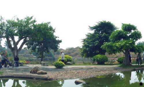 一小粉象啤酒有多厉害