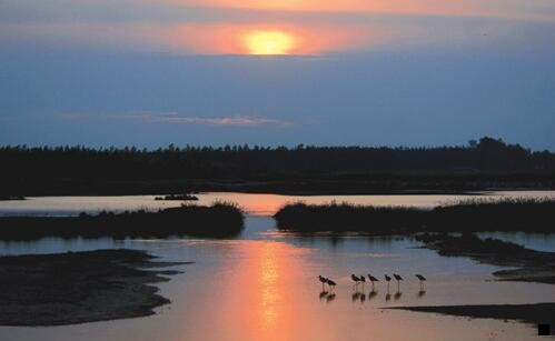 二粉象生活怎么自己注册邀请码
