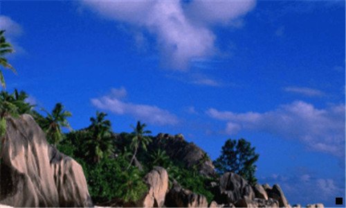 一下载粉象生活怎么使用