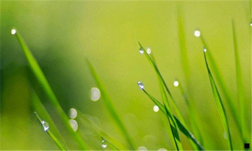 三粉象生活推广引流教程