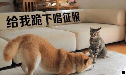 三兰州拉面狗肉