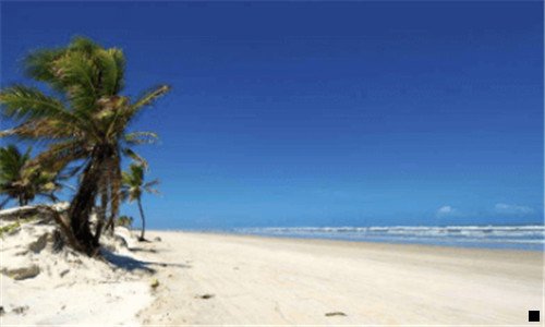 二粉象月入几万是真的吗