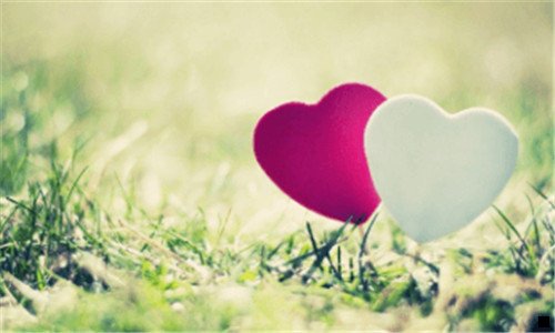 二粉象生活天天现金领红包