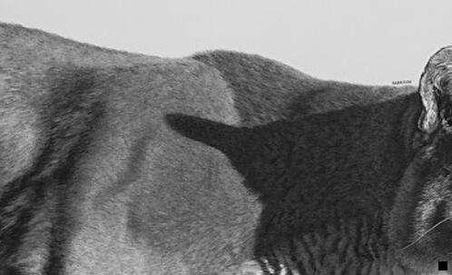 二粉象生活怎么自己注册邀请码