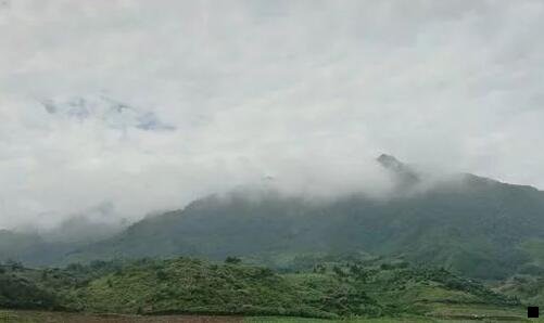 三粉象生活收益图片