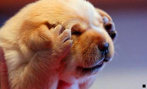 三粉象生活如何解绑邀请人