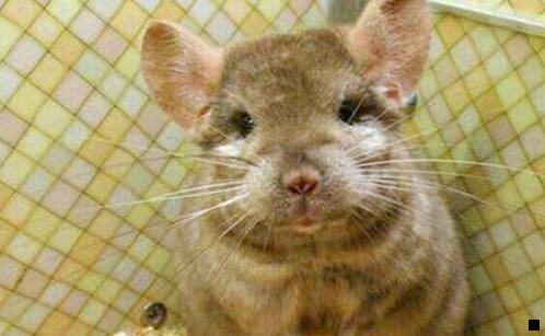 一粉象生活邀请码351395原始