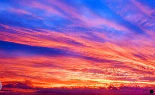 二粉象相当于几瓶啤酒