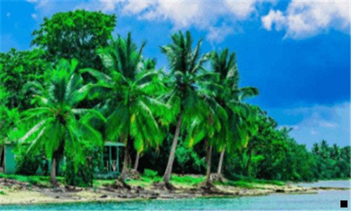 一粉象收入怎么修改