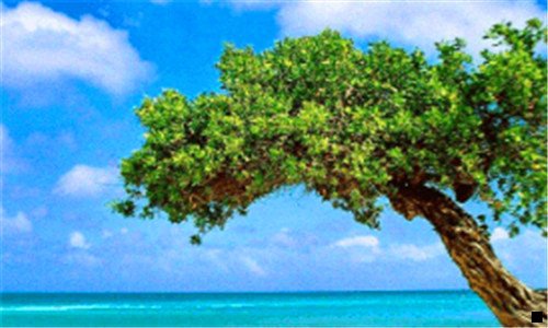 二粉象生活优秀分享家星妈妈