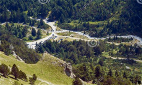 一象记破壁灵芝孢子粉价格表