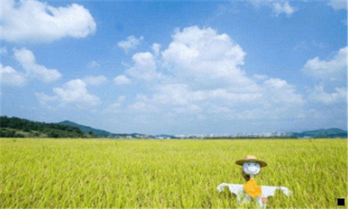 二南屿姑娘是什么意思