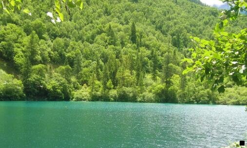 一粉象生活前几号提现