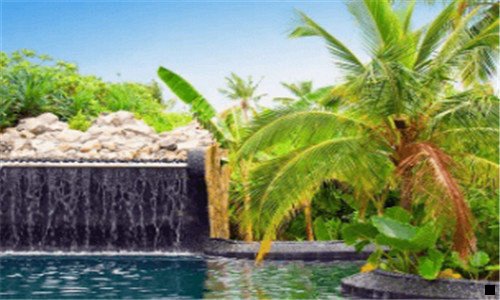 一大粉象和兔小白图片