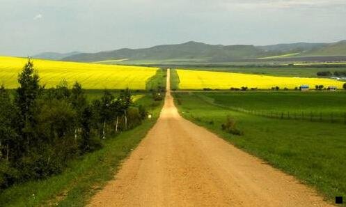 三用粉象买东西别人会知道吗