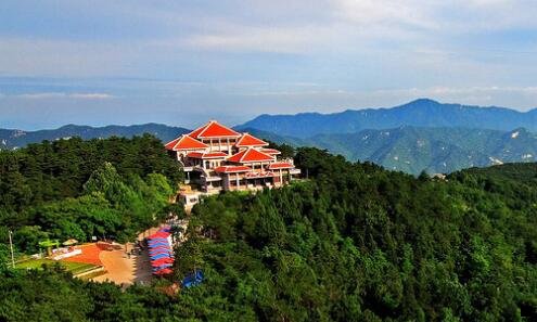 二粉象生活成立多久了