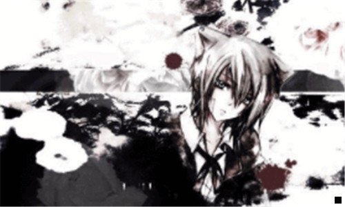 二战略发布会主题