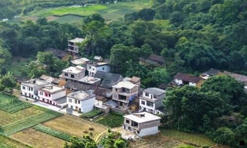 三粉象app是如何挣钱的