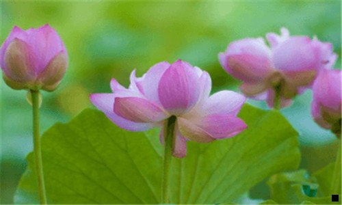 一日照万象汇螺蛳粉